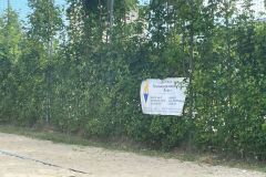 IMG-20250703-WA0083