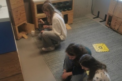 IMG_20250303_091642